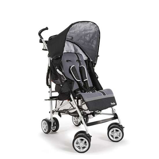 stroller rental Kelowna