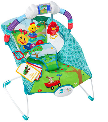 Baby einstein bouncer chair outlet
